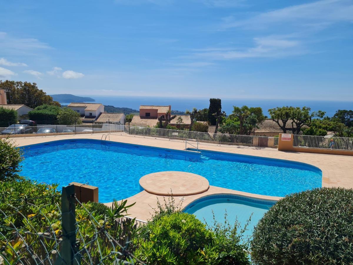 Bel Appartement Renove, Avec Terrasse Et Piscine La Croix-Valmer Exterior photo